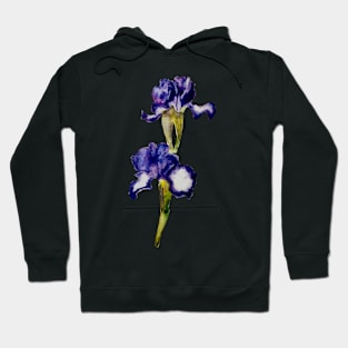 Bearded Iris 'Going My Way' Hoodie